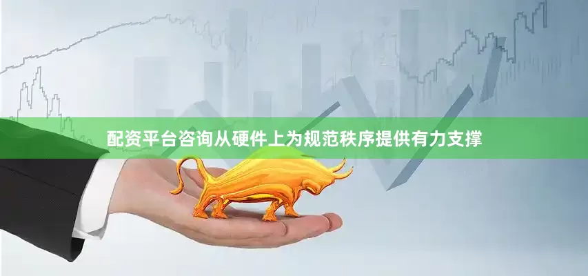 配资平台咨询从硬件上为规范秩序提供有力支撑