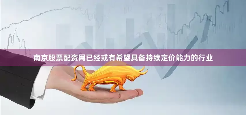 南京股票配资网已经或有希望具备持续定价能力的行业