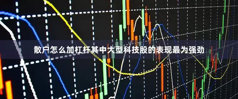 散户怎么加杠杆其中大型科技股的表现最为强劲