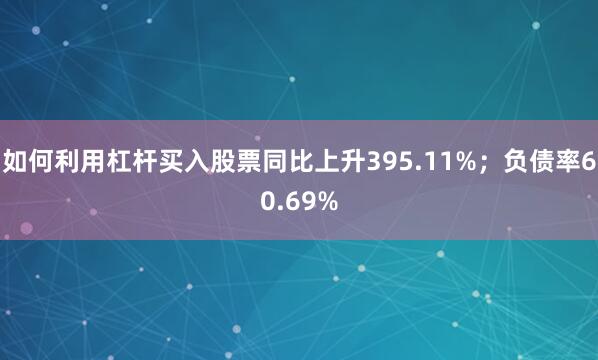 如何利用杠杆买入股票同比上升395.11%;负债率60.69%